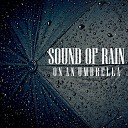 Rain Sounds from TraxLab Calming Sounds from TraxLab Nature Sounds from… - Sound of Rain on an Umbrella Pt 38
