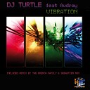 Dj Turtle featuring Audrey - Vibration Original Mix