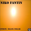 Niko Fantin - Evolve Original Mix