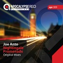 Joe Anto - Nightingale Original Mix