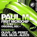 Paul M - First Microchip Alecs Remix