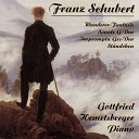 Gottfried Hemetsberger - Piano Sonata No 18 in G Major D 894 II…