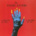 The Flesh Eaters - I Don t Wanna Go Down To The Basement