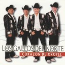 Los Gallos Del Norte - Dime Si me Quieres