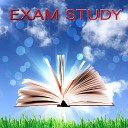 Exam Study Classical Music Orchestra - Concentration Music