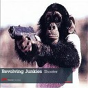 Revolving Junkies - Flamingo Original Mix