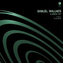 Samuel Wallner - Lumen Yuuki Hori Remix