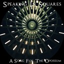 Speaking In Squares - A Song for the Opossum