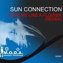 Sun Connection - Love Me Like a Flower Stefano Sorrentino…