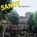 Sandy - Missing in Action