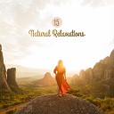 Reiki Nature Tribe Relaxation And Meditation - Inner Silence