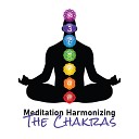 Mindfulness Meditation Music Spa Maestro Guided Meditation Music Zone Spiritual Healing Music Universe Om Meditation… - Remedies for Anxiety