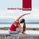 Ambient Music Therapy Deep Sleep Meditation Spa Healing Relaxation Yoga Music Followers Deep Relaxation Exercises… - Total Relaxation