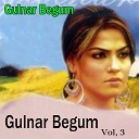 Gulnar Begum - Lar Me Krro Palaow Da Makha