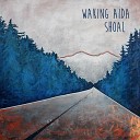 Waking Aida - Shoal