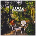 Zooz - Surf In The Storm