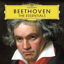 Philharmonia Orchestra Shlomo Mintz Giuseppe… - Beethoven String Quartet In B Flat Op 130 5 Cavatina Adagio molto…