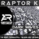 Raptor K - Inmersion Original Mix
