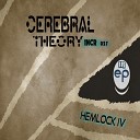 Cerebral Theory - Schimi Box Original Mix