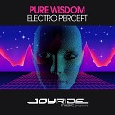 Pure Wisdom - Electro Percept Extended Mix