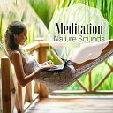 Meditation Academy Masters - Depression Relief