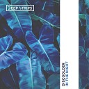 Discoolder - In The Night Original Mix