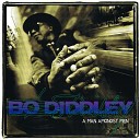 Bo Diddley - Can I Walk You Home