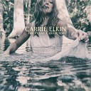 Carrie Elkin - And Then the Birds Came