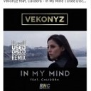 Vekonyz - In My Mind Used Disco Remix