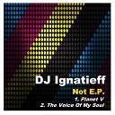 DJ Ignatieff - Planet V Original Mix