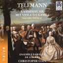 Christophe Coin Ensemble baroque de Limoges - Concerto a viola di gamba in B Minor TWV 43 H3 No 3…