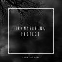 Transerfing Project - Mantis