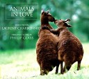Animals In Love - The Gaze The Scents 2