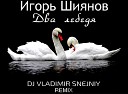 Игорь Шиянов - Два лебедя Dj Vladimir Snejniy Remix