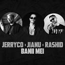 JERRYCO feat Jianu Rashid - Banii Mei