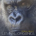 Le Vinyl - Organica Original Mix