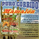 Banda Zorro - El Corrido de los Perez