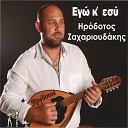 Irodotos Zaharioudakis - Den S Agapo