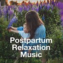 Best Relaxation Music - The Rythm of Life