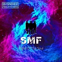 S M F - Flight Of The Soul