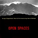 Arrigo Cappelletti Duo feat Barre Phillips - An Inward Trip