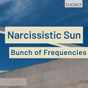 Bunch of Frequencies - Narcissistic Sun Original Mix