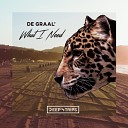 DE GRAAL' - What I Need (Original Mix)