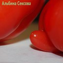 Альбина Сексова - Саша пидораст