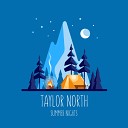 Taylor North - Summer Nights Radio Edit