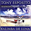 Tony Esposito Rico Bernasconi feat Frisco Disco vs DJ Dima… - Kalimba De Luna DJ De Maxwill Mash Up