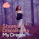DiscoRocks Shamizo - My Dream 5prite Remix