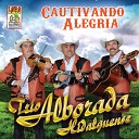 Trio Alborada Hidalguense - El Mero Patr n