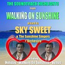 Sky Sweet The Sunshine Singers - Wake Me Up Before You Go Go