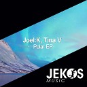 Tina V Joel K - Polar Original Mix